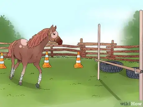Image titled "Play" with Your Horse_Pony Step 6
